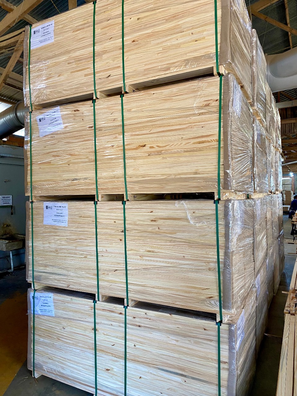 WhatsApp Image 2024-10-21 at 15.10.29 (5).jpeg